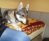 Pension_10
