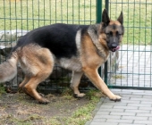 Pension_24