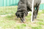 Pension_27