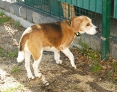 Pension_33