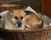Pension_4