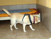 Pension_67