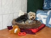 Pension_7