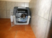 Pension_11