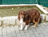 Pension_14