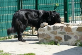 Pension_15