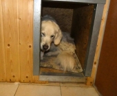 Pension_19