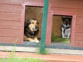Pension_1
