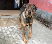 Pension_22