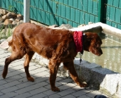 Pension_23