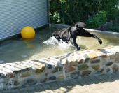 Pension_2