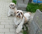 Pension_2
