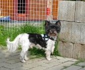 Pension_45