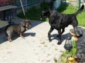 Pension_46