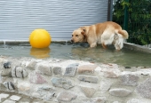 Pension_48