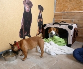 Pension_4