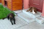 Pension_54