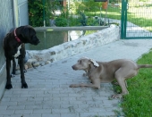 Pension_5
