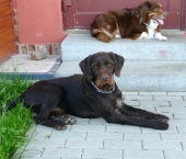 Pension_76
