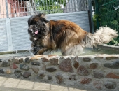 Pension_79