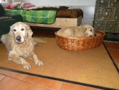 Pension_43