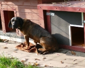 Pension_10