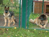 Pension_22