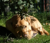 Pension_25