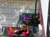 Pension_3