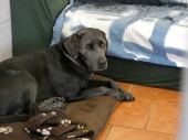 Pension_12