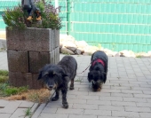 Pension_12