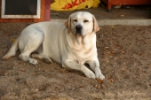 Pension_19