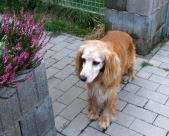 Pension_20