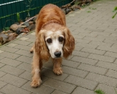 Pension_21