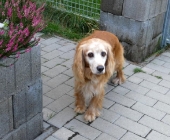Pension_21