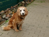 Pension_22