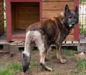 Pension_22