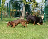 Pension_2