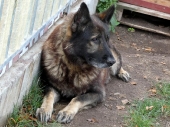 Pension_2
