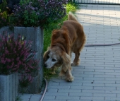Pension_30