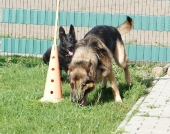 Pension_32