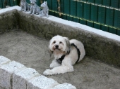 Pension_3