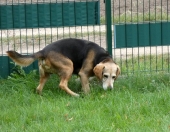 Pension_44