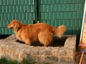 Pension_6