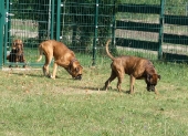 Pension_11