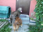Pension_123