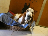 Pension_12