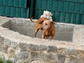 Pension_1