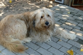 Pension_22