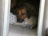 Pension_23